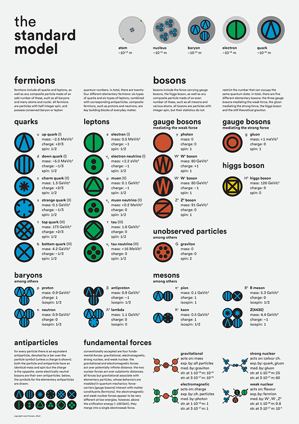 I costituenti fondamentali