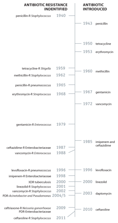 2-timeline.png