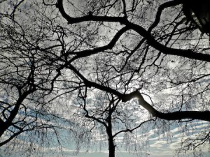 16822202561_d454fc1ef9_b