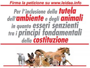 800600px_dal-vuore-alla-costituzione-480x360